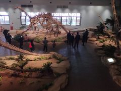 -自贡恐龙博物馆