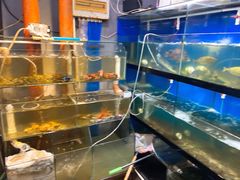 水产区-美味海鲜大排档(明发美食地标店)