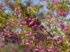 -莹珠阁·私房菜