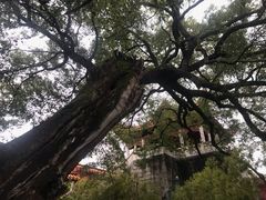 -南岳衡山风景名胜区-南岳大庙