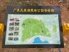 -天鹿湖森林公园