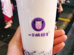 -一只酸奶牛(八一路店)