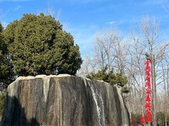 -合肥滨湖国家森林公园