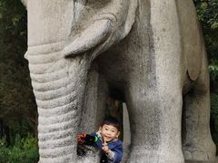 -铁谢李松祖传羊肉汤馆