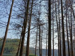 -重庆彩云湖湿地公园
