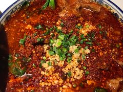 -院8里·小聚园老川菜(九眼桥店)