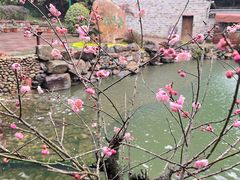 -宁波市保国寺古建筑博物馆