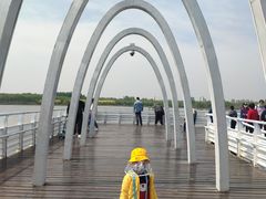 -大兴滨河森林公园