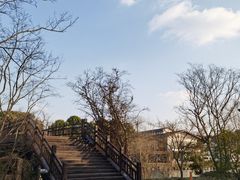 -广富林郊野公园