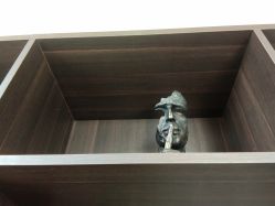 -铂诗玥医美