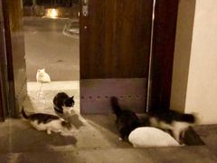 -金石唐风国际温泉会馆