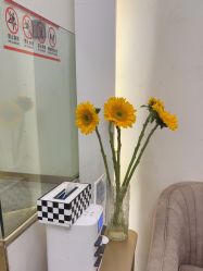 -MIDA蜜哒•科技逆龄美肤连锁