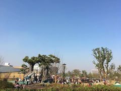 -九龙湖公园