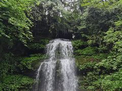 -碧峰峡风景区