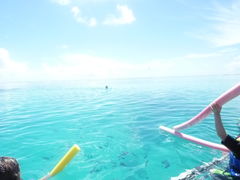 -黄金海岸