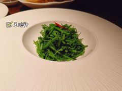 -觀芷隐轩