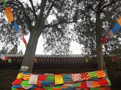 -西安市广仁寺