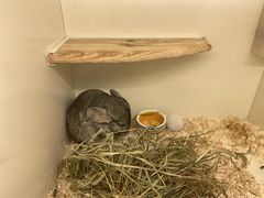 -龙猫仔乐园(惠福东路店)