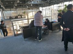 -利星行天竺之星汽车有限公司