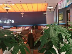 -蒙都43°9羊火锅(平庄店)
