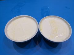 -德禄酸奶(莫家街店)