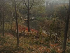 -苏州环秀晓筑养生度假村