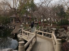 -东山雕花楼