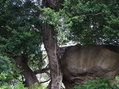 -草庵摩尼教遗址公园