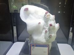 -中国地质大学逸夫博物馆