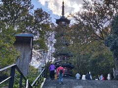 -上海佘山国家森林公园西佘山园