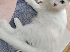 -沐沐家宠物(成寿寺店)