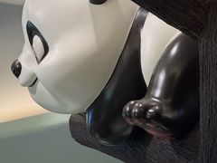 -眉州东坡·熊猫主题餐厅(枫蓝店)