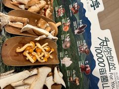 -芸山季·云南山珍菌火锅(南翔印象城MEGA店)