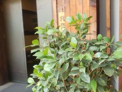 -竹幸日本料理(国光1937科技文化创意园店)