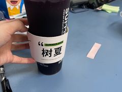-树夏(来福士店)