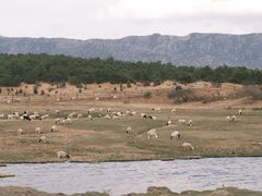-玉湖村