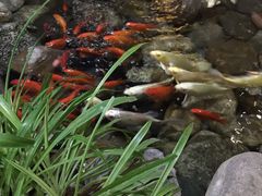 -山有花啡餐厅(常营总店)