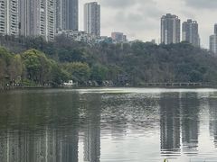 -重庆彩云湖湿地公园