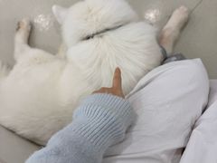 -共舞时光猫咖·狗咖(新街口店)