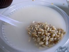 -德禄酸奶(莫家街店)