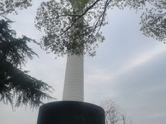 -龟山风景区-龟山电视塔