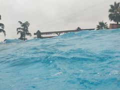 -重庆海昌加勒比海水世界