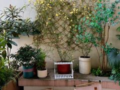 -Beans Solo豆号咖啡(百家湖花园店)