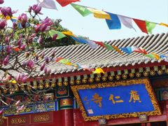 -西安市广仁寺