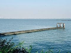 -贡湖湾湿地公园