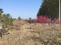 -东郊湿地公园