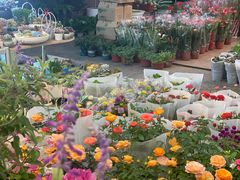 -双季花艺园艺市场(浦东店)