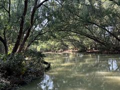 -大湾区中央湿地公园