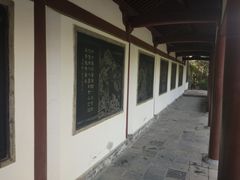 -西安乐游原