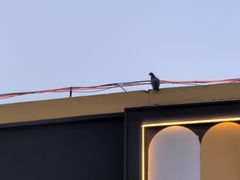 -优托邦(长兴路店)